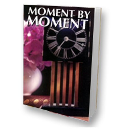 Moment by Moment eBook