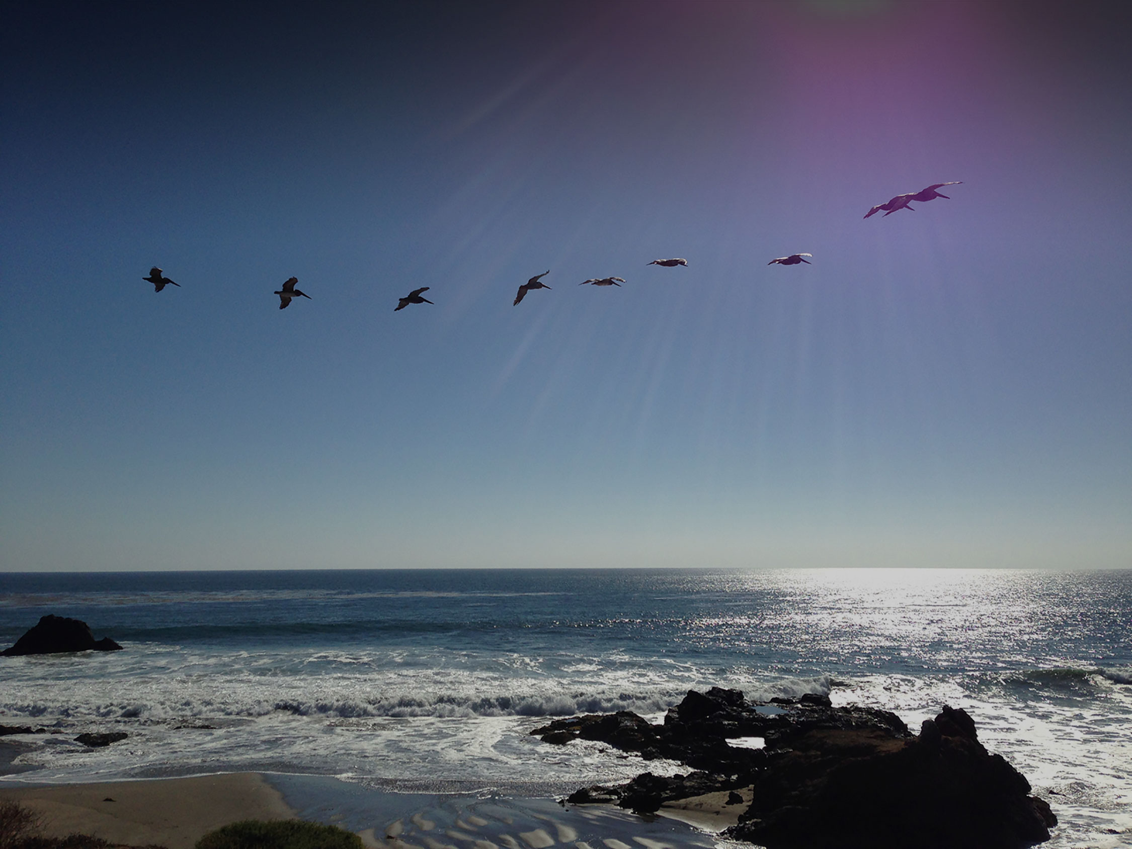 Stephanie Riseley - Los Angeles Hypnotherapy & Past Life Regression & Past Life Regression