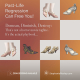 Demean, Diminish, Destroy: The Sociopath's Playbook, and How Past-Life Regression Can Free You!
